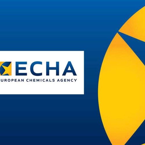 echa echa