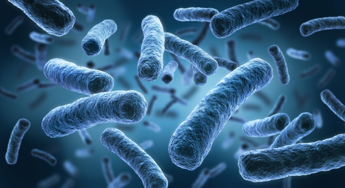 CERTIFICADO-ANTIBACTERIANO-BANNER.