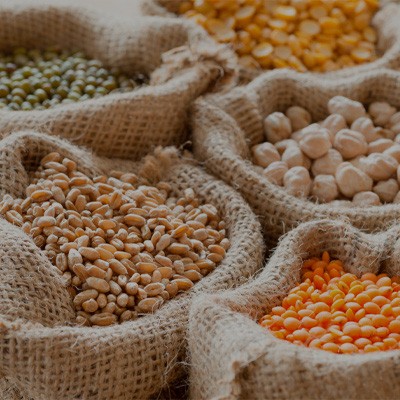 SECTOR ARTICULOS EN CONTACTO CON ALIMENTOS