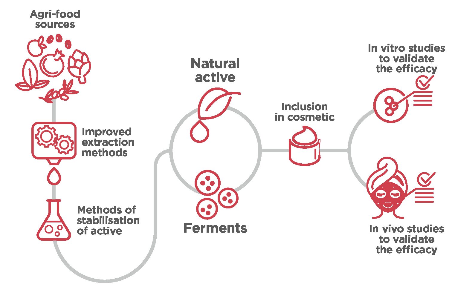 BIOACTIVE_eng