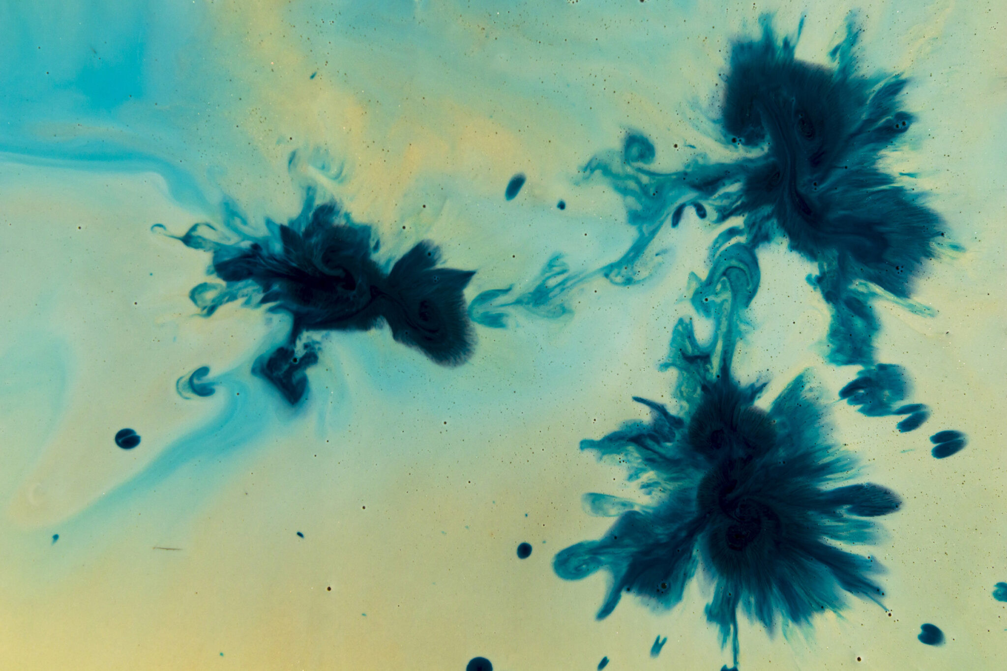 BIOPRINT