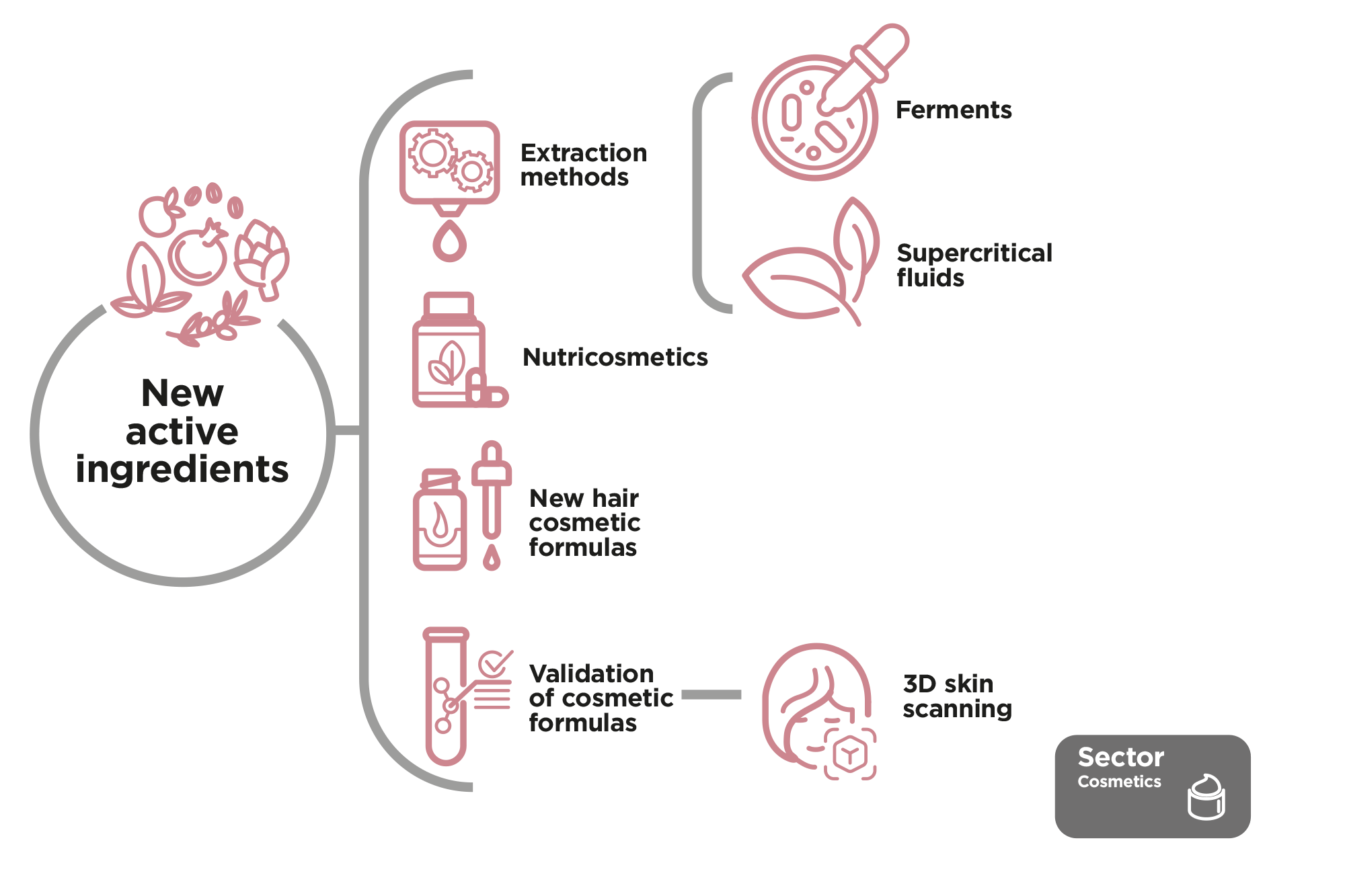 bioactive2025_eng