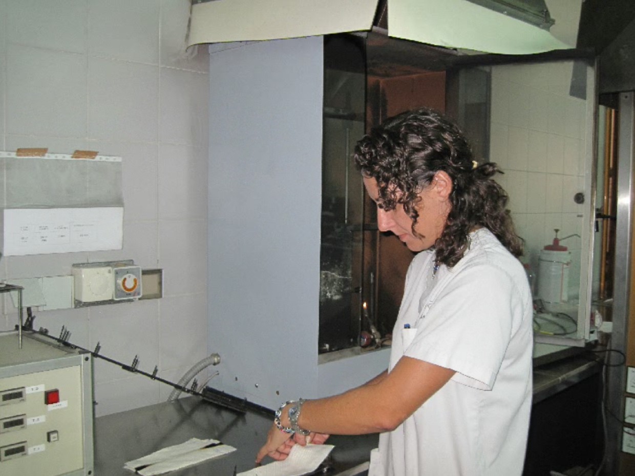 Gema