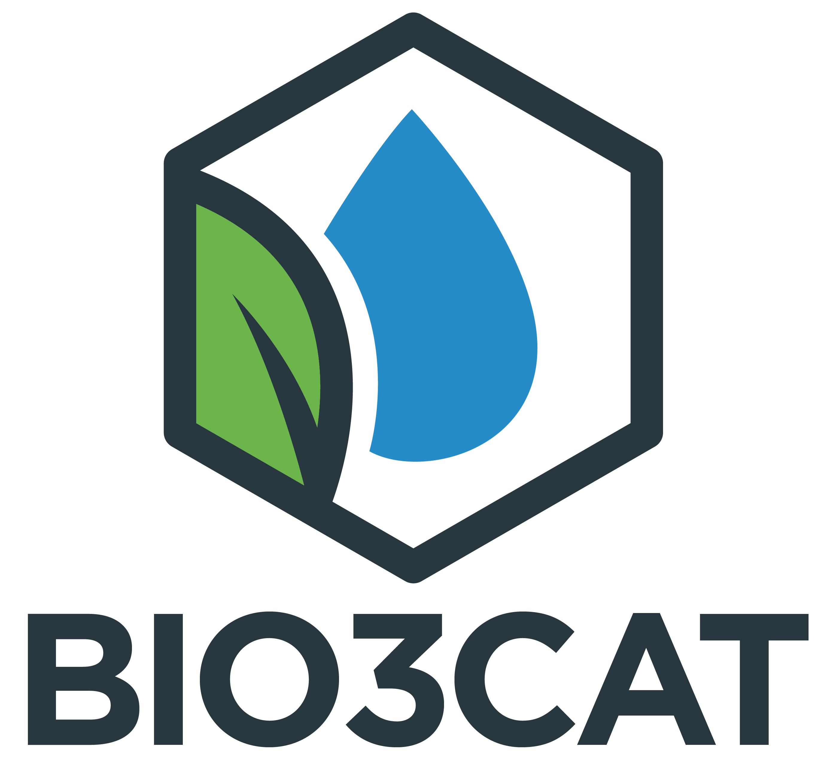 LOGO BIO3CAT
