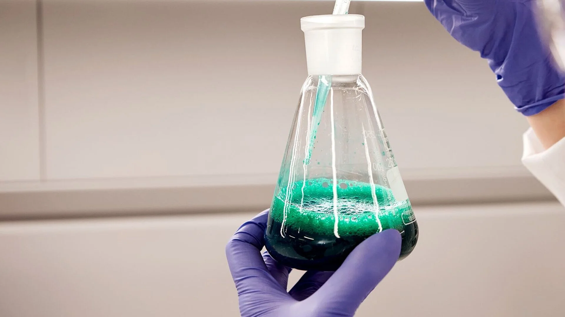 csm_chemical-testing_556d707ace